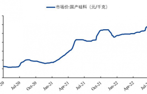 硅料价格还能飞多久？三部门约谈多晶硅骨干企业提出这三点要求