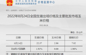 保“猪”战！猪价半年暴涨84% 发改委大动作 9月启动猪肉储备投放