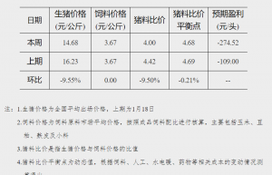 猪肉储备收储工作再启动！猪价拐点在哪里？